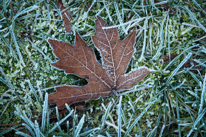 Winterizing Your Lawn 02